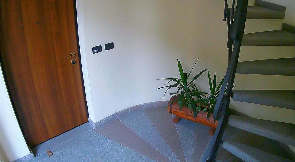 Ingresso